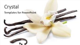  Presentation with vanilla - PPT theme featuring dried vanilla sticks and orchid background and a white colored foreground