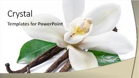  Presentation with vanilla - Slide set consisting of dried vanilla sticks and orchid background and a white colored foreground