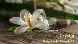  Presentation with vanilla - Beautiful theme featuring dried-vanilla-sticks-and-vanilla backdrop and a tawny brown colored foreground