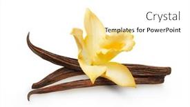  Presentation with vanilla - PPT theme enhanced with dried-vanilla-sticks-and-vanilla background and a white colored foreground