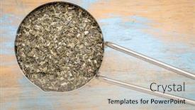  Presentation with seaweed - PPT layouts consisting of dried wakame seaweed - top view background and a mint green colored foreground