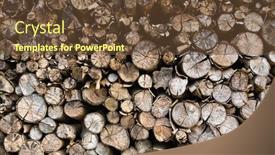  Presentation with wood log - Amazing presentation having dried-wood-log-stack-firewood backdrop and a tawny brown colored foreground