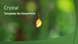  Presentation with spider web - Presentation theme enhanced with dried-yellow-leaf-hanging background and a tawny brown colored foreground