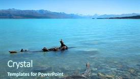  Presentation with new zealand silver fern black - Amazing presentation having drifting - drift wood in pukaki lake backdrop and a ocean colored foreground