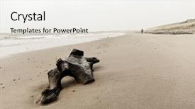  Presentation with scotland - Presentation theme having drifting - driftwood and a single woman background and a white colored foreground