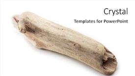  Presentation with octopus on isolated white - Slide deck having drifting - driftwood isolated on white background and a white colored foreground