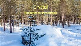  Presentation with winter forest - Beautiful theme featuring drifting - long shadows cross snow drifts backdrop and a violet colored foreground