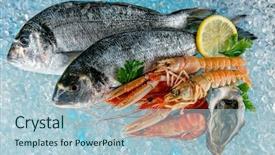 Presentation with seafood - Cool new PPT theme with drifting - seafood placed on ice drift backdrop and a light blue colored foreground