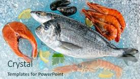  Presentation with ice - Slides consisting of drifting - seafood placed on ice drift background and a sky blue colored foreground