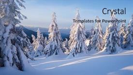  Presentation with forest morning - Presentation featuring drifting - snow covered fir trees background and a light blue colored foreground
