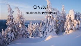  Presentation with winter storm - Amazing presentation having drifting - snow covered spruce trees backdrop and a light blue colored foreground