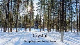  Presentation with forest morning - Presentation with drifting - sun is low above background and a light blue colored foreground