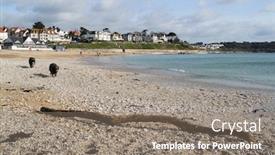  Presentation with dogs - Colorful presentation theme enhanced with driftwood-and-dogs-running backdrop and a gray colored foreground