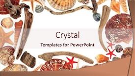  Presentation with seashell - Cool new PPT theme with driftwood and seashell abstract background backdrop and a lemonade colored foreground
