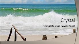  Presentation with artistic - Beautiful presentation featuring tribal sea - driftwood arranged in artistic manner backdrop and a light gray colored foreground