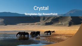  Presentation with horse - Cool new presentation with drinking horses backdrop and a teal colored foreground