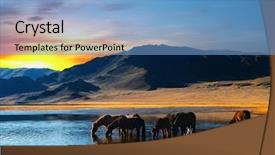  Presentation with horse - Amazing PPT theme having drinking horses backdrop and a light blue colored foreground
