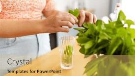  Presentation with peppermint - PPT theme with drinks-and-people-concept-close background and a yellow colored foreground