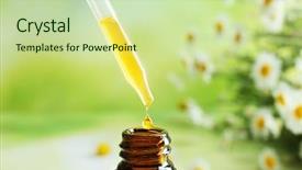  Presentation with chamomile - Amazing PPT layouts having dripping chamomile essential oil backdrop and a mint green colored foreground