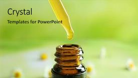  Presentation with chamomile - PPT layouts enhanced with dripping chamomile essential oil background and a yellow colored foreground