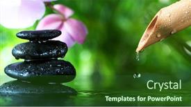  Presentation with crime halloween concept blood dripping - Amazing theme having dripping-drops-from-bamboo-tube backdrop and a forest green colored foreground