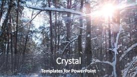  Presentation with wood - Cool new PPT theme with driven pile - landscape with the image backdrop and a dark gray colored foreground