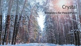  Presentation with winter - Theme having driven pile - landscape with the image background and a light blue colored foreground