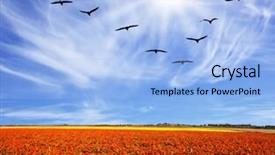  Presentation with strong wind - Presentation featuring  background and a  colored foreground