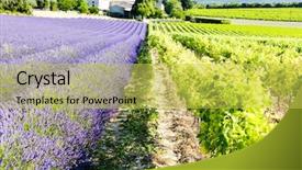  Presentation with lavender wedding invitation - Beautiful slides featuring drome department rhone-alpes france backdrop and a  colored foreground