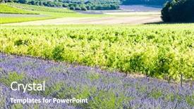  Presentation with lavender business - Slide deck with drome department rhone-alpes france background and a  colored foreground