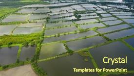  Presentation with fish pond - Beautiful presentation theme featuring drone fly over fish hatchery backdrop and a tawny brown colored foreground