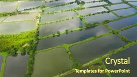  Presentation with fish pond - PPT theme featuring drone fly over fish hatchery background and a tawny brown colored foreground