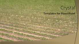  Presentation with farmland - PPT theme consisting of drone-image-overlooking-a-newly background and a gold colored foreground