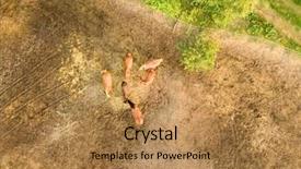  Presentation with aerial view of cape town - Audience pleasing presentation design consisting of drone of farm horses grazing backdrop and a coral colored foreground