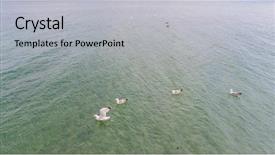  Presentation with bulgarian - Slide set featuring drone view of bulgarian coastline background and a light gray colored foreground