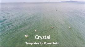  Presentation with bulgarian - PPT theme enhanced with drone view of bulgarian coastline background and a gray colored foreground