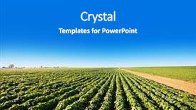  Presentation with camera drone - Beautiful theme featuring drone with a camera backdrop and a gray colored foreground