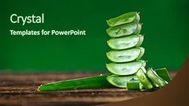  Presentation with green leaves - Presentation design consisting of drop box - green leaves of aloe plant background and a forest green colored foreground