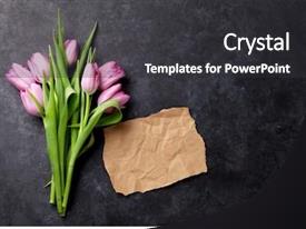 Fresh Purple Tulip Flowers PPT template 35 | CrystalGraphics
