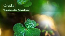  Presentation with dew drop - Beautiful presentation design featuring drop-of-dew-on-green backdrop and a forest green colored foreground