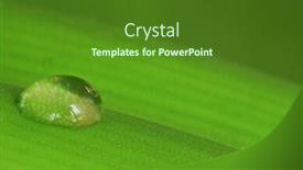  Presentation with dew drop - Theme enhanced with  background and a  colored foreground