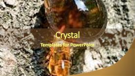  Presentation with drop - Theme consisting of drop of resin on bark background background and a tawny brown colored foreground