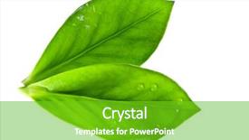  Presentation with water drop - Beautiful slides featuring drop of water on white background backdrop and a shamrock green colored foreground