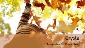  Presentation with water rain drop hanging on a fresh green leaf - Amazing slides having drop up leaves in autumn backdrop and a gold colored foreground