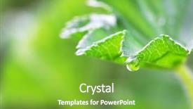  Presentation with drop - Audience pleasing theme consisting of drop backdrop and a tawny brown colored foreground