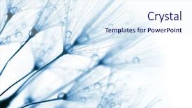  Presentation with blue floral - Amazing slides having droplets on white background - abstract backdrop and a sky blue colored foreground