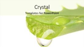  Presentation with drop - Cool new PPT layouts with dropped parts - aloe leaf with drop isolated backdrop and a soft green colored foreground