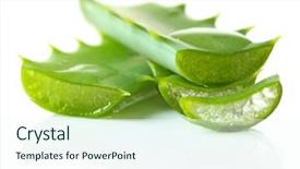  Presentation with leaf water drops fresh - PPT theme enhanced with dropped parts - aloe leaves with drops isolated background and a cool aqua colored foreground