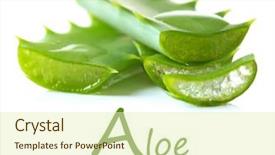  Presentation with beautiful fresh leaves water drops - PPT layouts having vegetaion - autumn with colored leaves background and a dark gray colored foreground