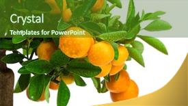  Presentation with tree - Audience pleasing PPT theme consisting of dropped parts - beautiful tangerine tree backdrop and a tawny brown colored foreground